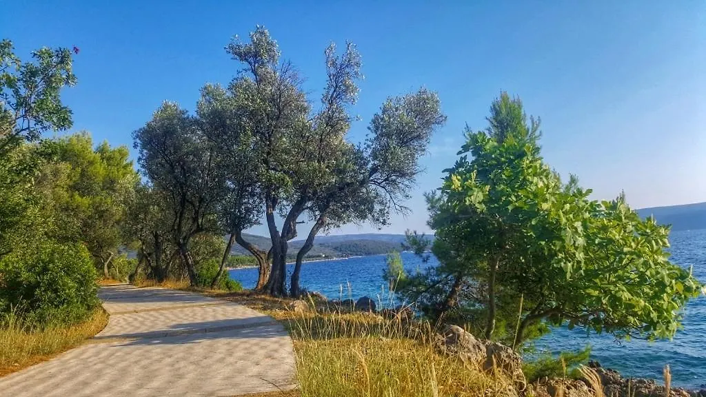 Apartmán Apartman Julija, Stara Gavza Cres Chorvatsko